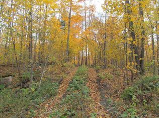 Near Pole Rd N, Birnamwood, WI 54414