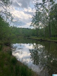 County Road 244 #9, Wedowee, AL, 36278
