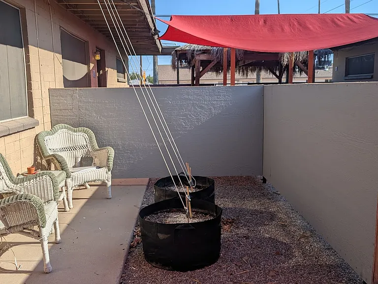 Mockingbird Palms — Photo 13