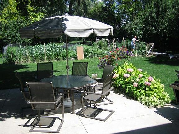 Back yard Summer