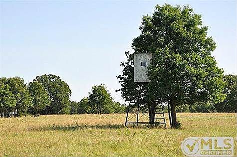 2nd image of 11311 Farm Road 69 N