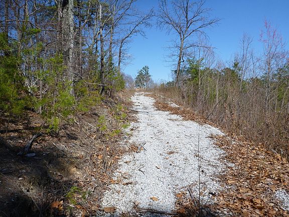 5th image of 0 Allegheny Cove Way Lot 24A-R2