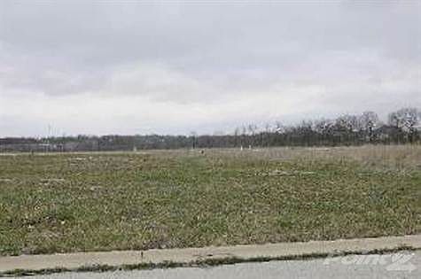 m_P_cmls_35253_102 A