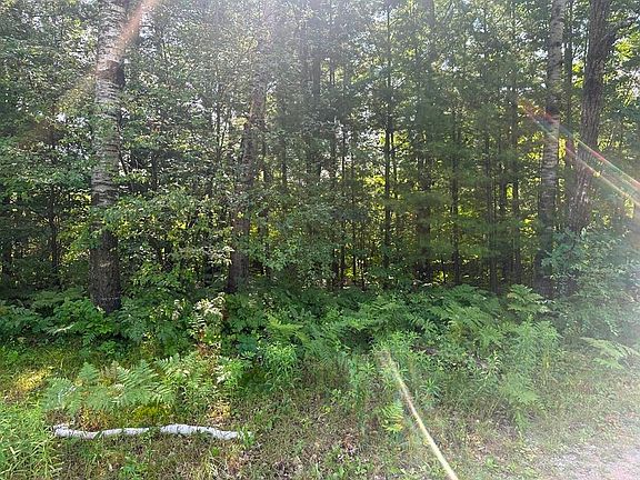 2nd image of 63 Popple Ln