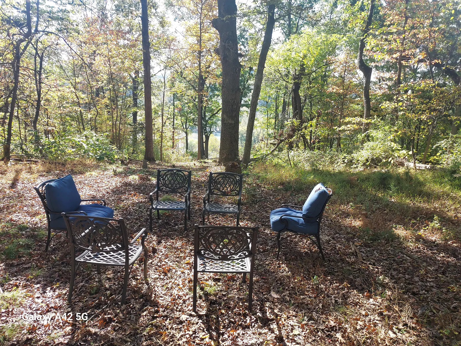 156 Bluff Ln — Photo 4