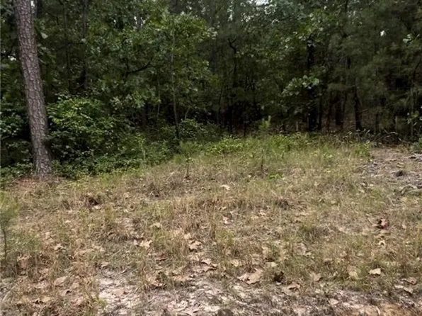 LOT 24 Cedar Ln, Eagle Springs, NC 27242