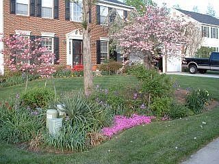 early spring