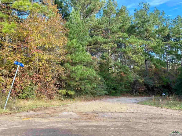 164 Private Road 521, Gary, TX 75643