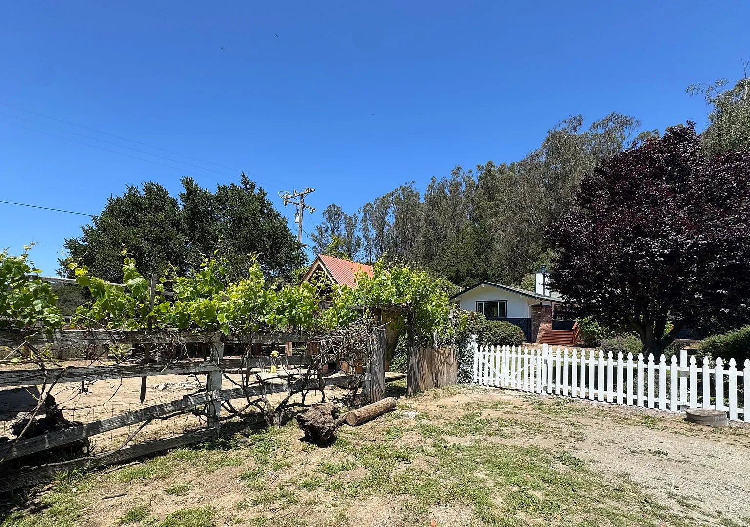 Peaceful Country Living — Photo 3