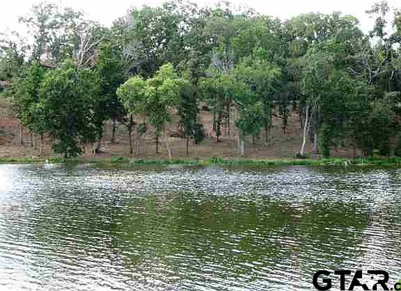 2nd image of 0 County Road 4847 Lot 3