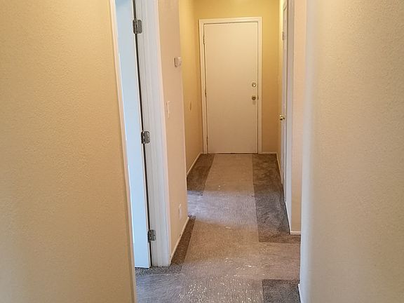 5th image of 1419 Camellia Dr