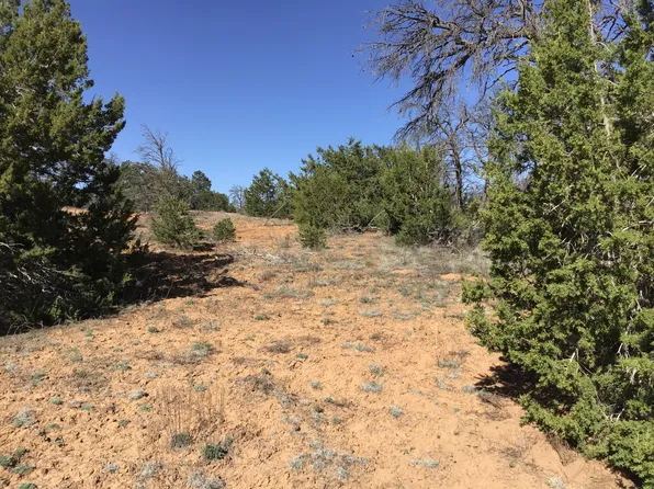 LOT 300 Edgewood Dr, Pinehill, NM 87357