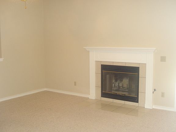 Wood-burning Fireplace