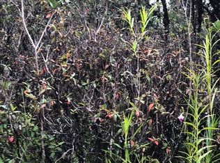 Wailele St LOT 20, Mountain View, HI 96771