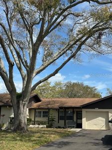 1567 Patton Dr, Dunedin, FL, 34698