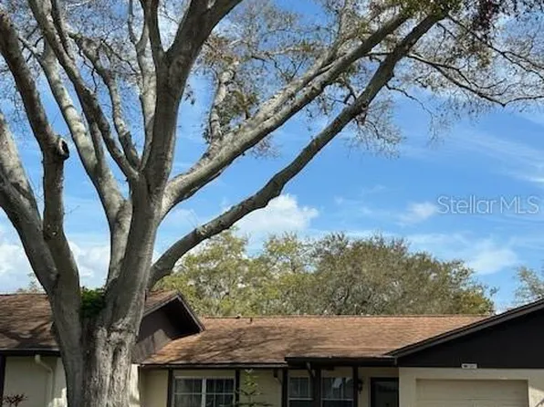 1567 Patton Dr, Dunedin, FL 34698