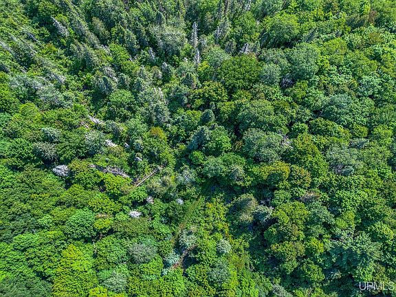 3rd image of 6881 Dunham Road Usfs Rd #6