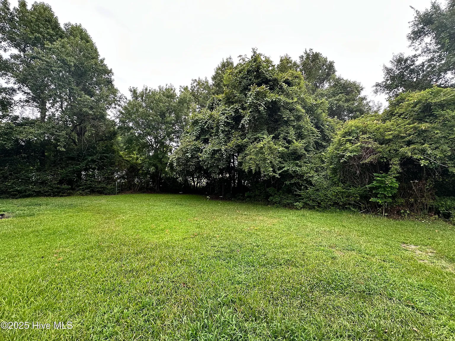 3 bed, 2.0 bath, 1350 sqft, $1,950 — Photo 3