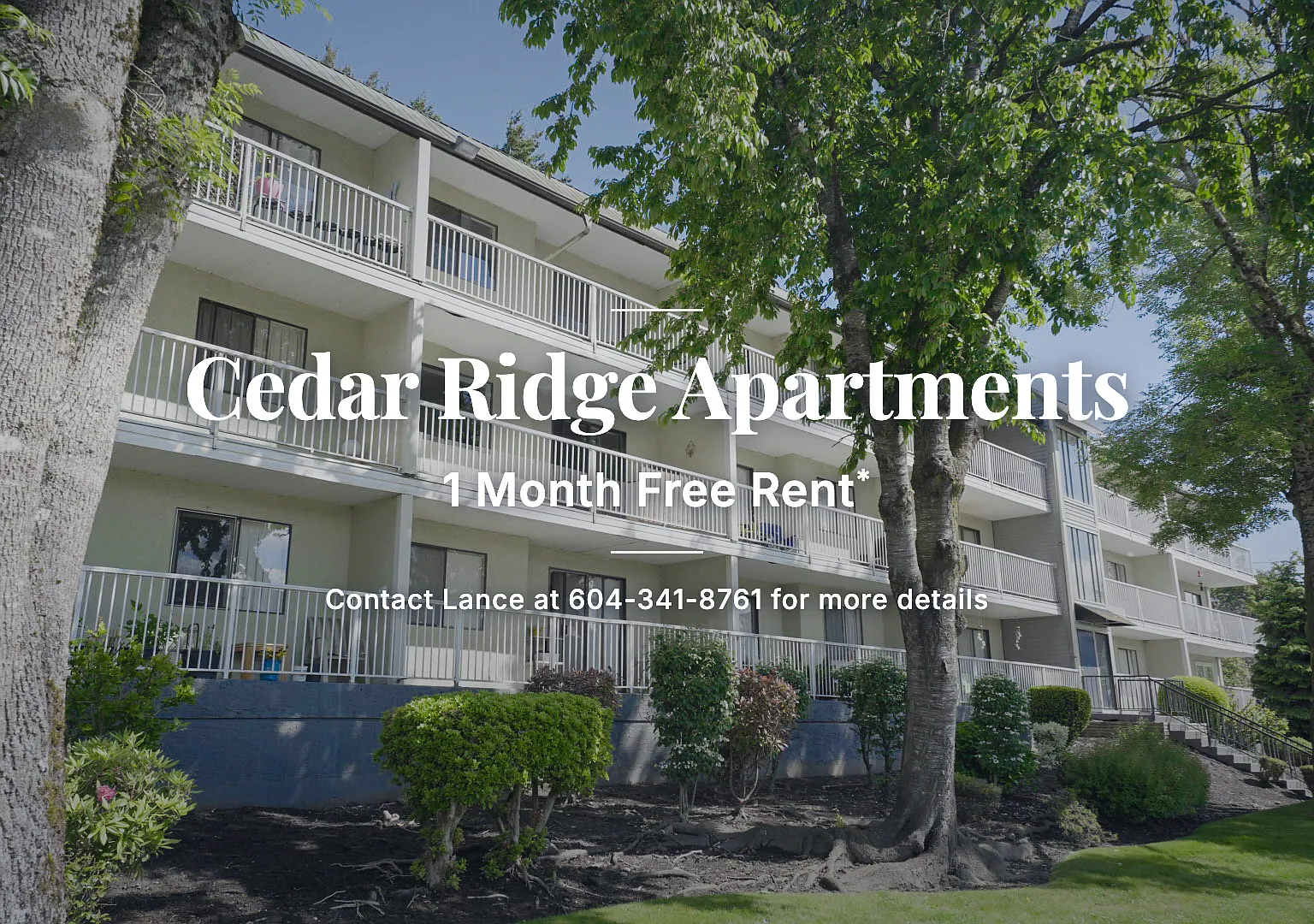 Cedar Ridge — Photo 1