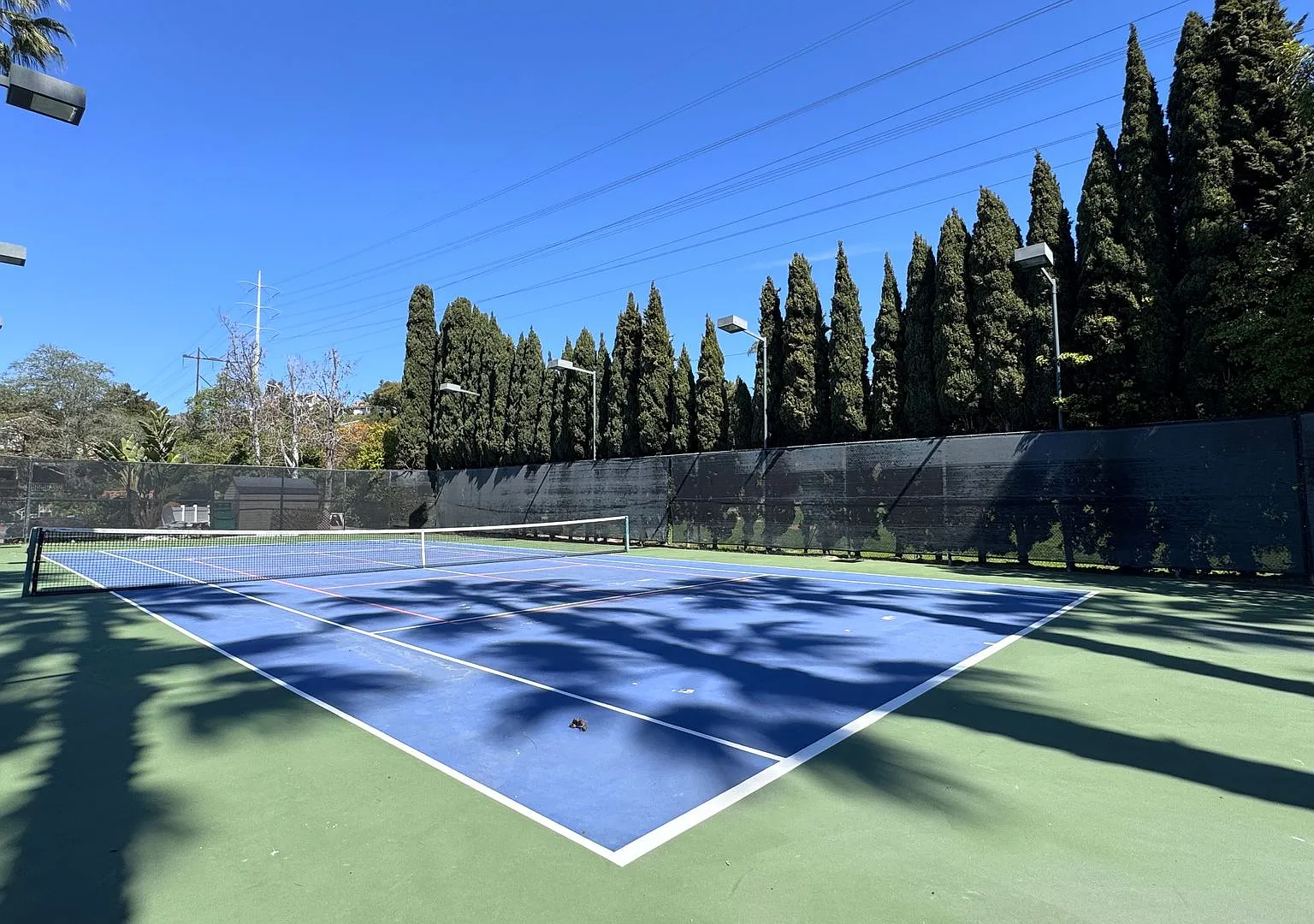 Stunning Townhome in Gated Community — Photo 4