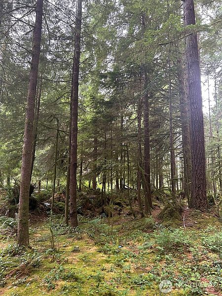 5th image of 99 Highway 101