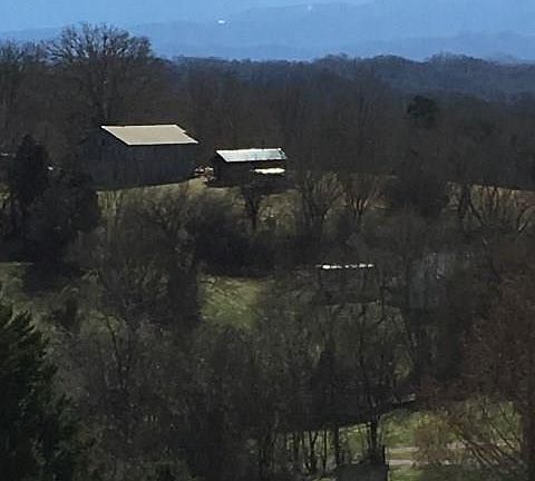 4th image of 430 Summerhill Dr