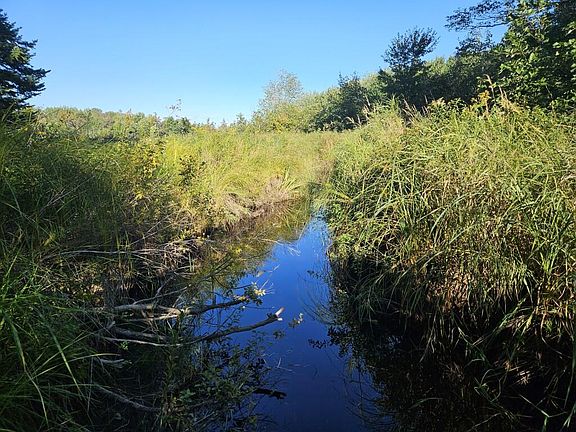 5th image of M11L1 Wilder Davis  Road