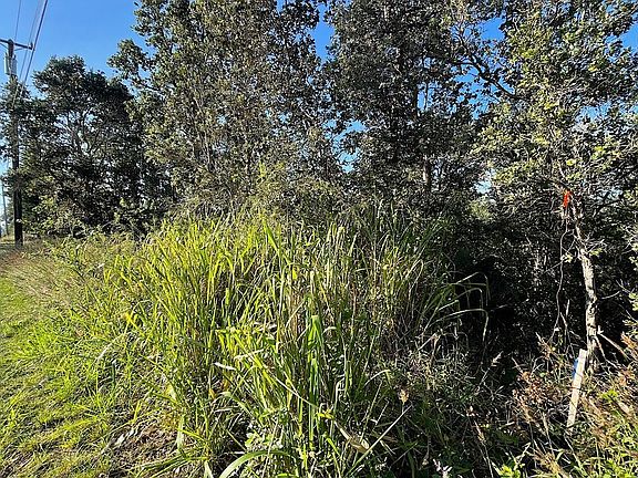 3rd image of Lot 21