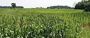 4th image of 0 N County Rd #300-W