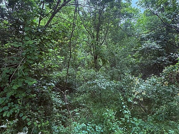 4th image of Chambers Rd