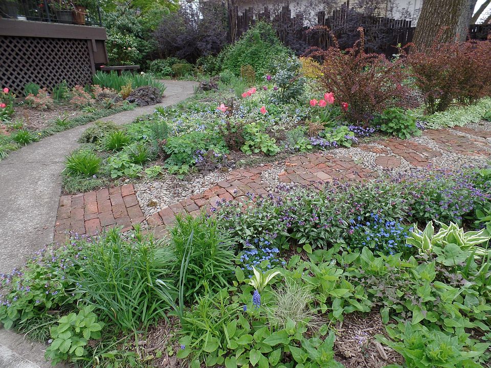 FY garden paths