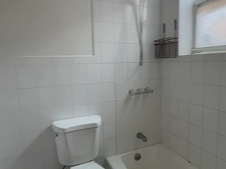 1233 Bay St #1 — Photo 11