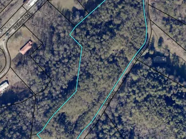 0 Spring St, Mineral Bluff, GA 30559