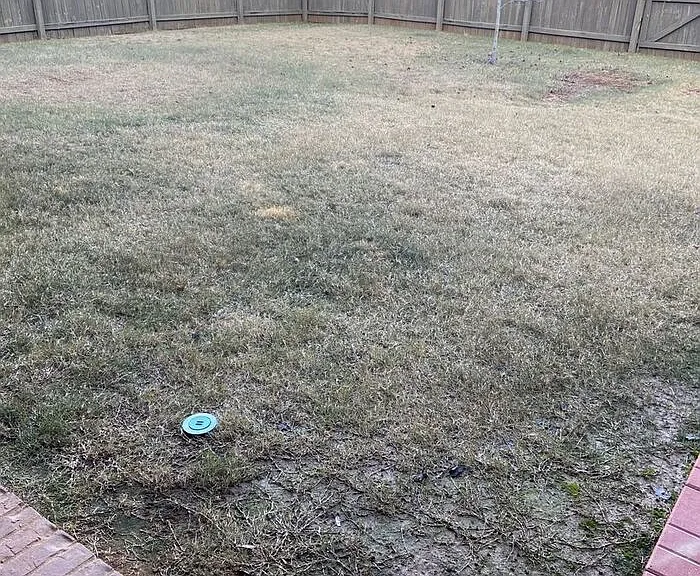 219 Coral Ct — Photo 2