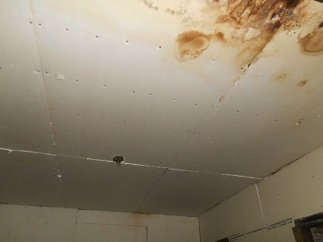 2nd image of 4817 W Maypole Ave