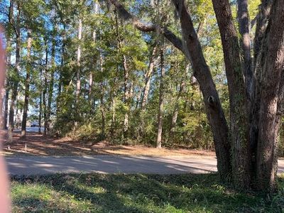 51 Bluffs Lndg, Waverly, GA, 31565
