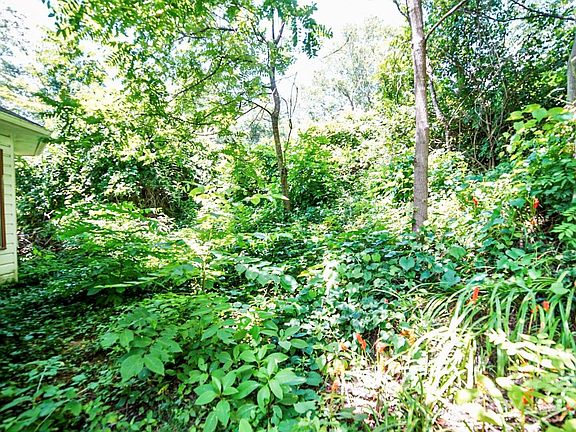5th image of 147 Walnut Ave