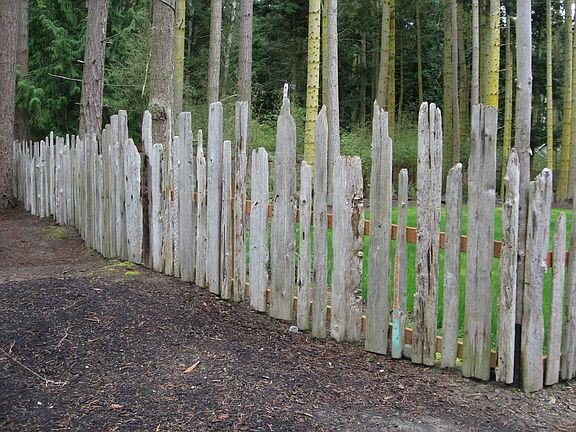 Driftwood fence.