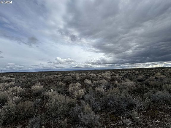 3rd image of Lost Forest Ln #800