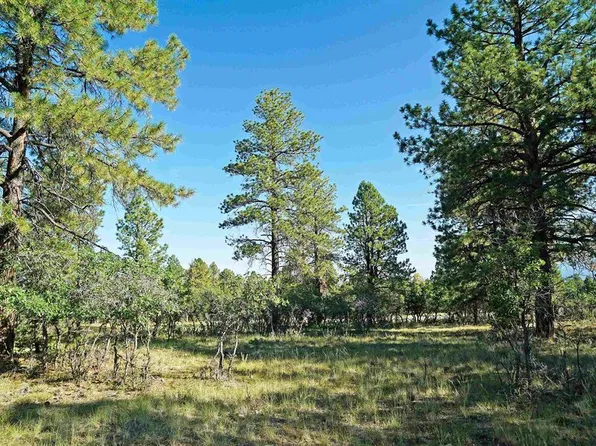 1325 Marmot Drive, Ridgway, CO 81432