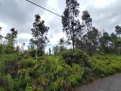 Road E Kioele Lot 2513, Mountain View, HI, 96771