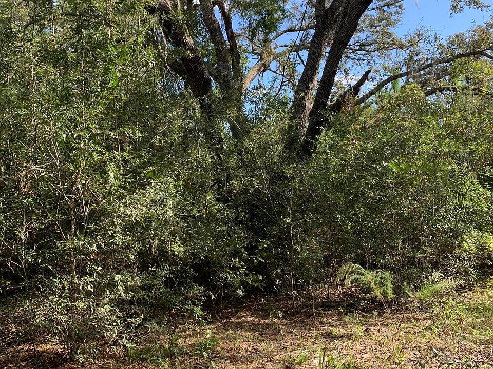 2nd image of 0 County Road 337 Rd