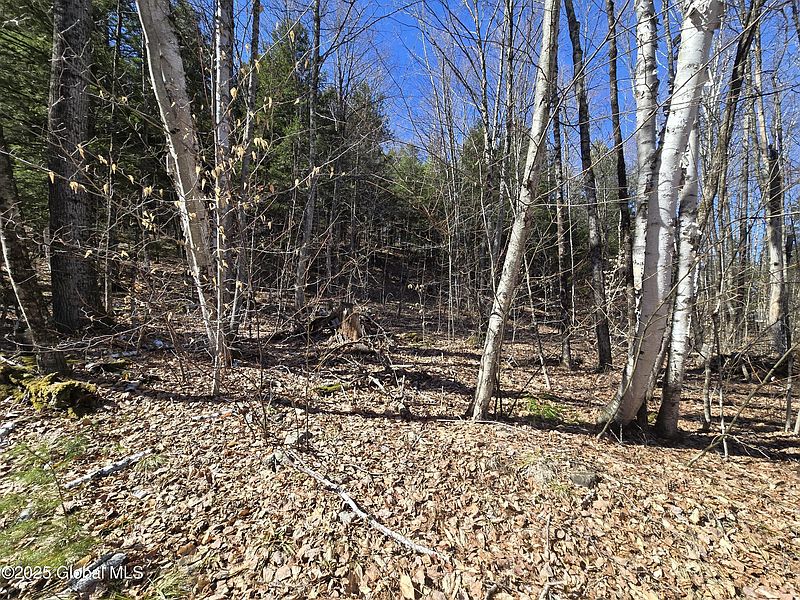 5th image of L11.231 Valentine Pond Road