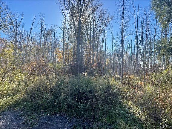 4th image of Williams St Lot 4