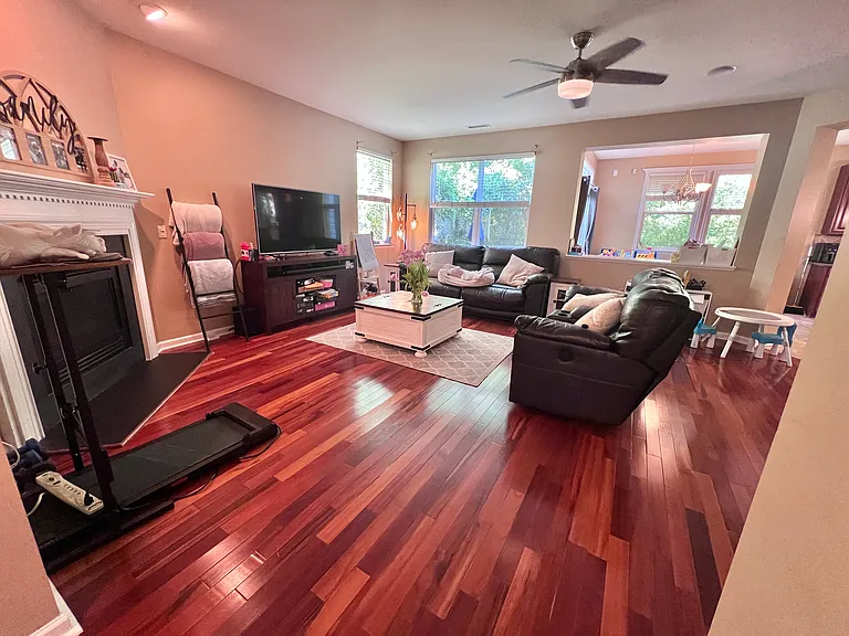 Family Room -Current Picture 5