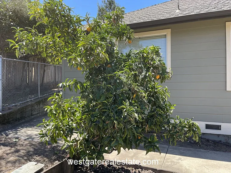 786 El Paseo Dr — Photo 24