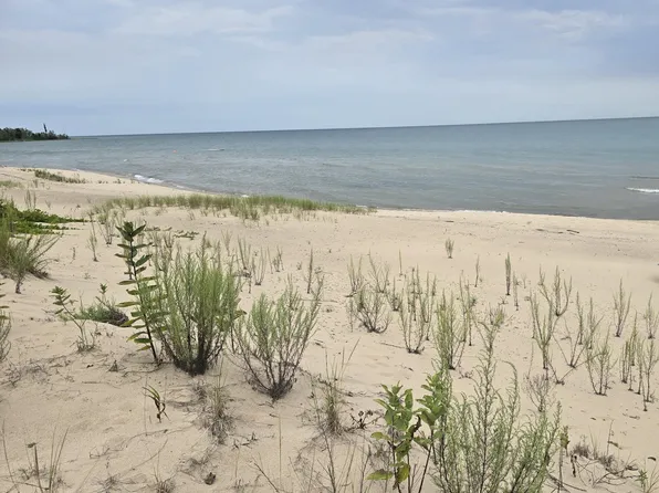 Dune Ln, Black River, MI 48721