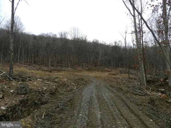 Elbinsville Rd NE, Flintstone, MD 21530