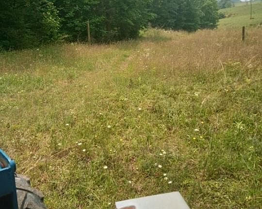 2nd image of 134 Pony Run Ln