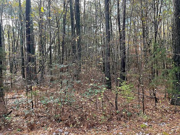4th image of Foxfire Dr Lot 36